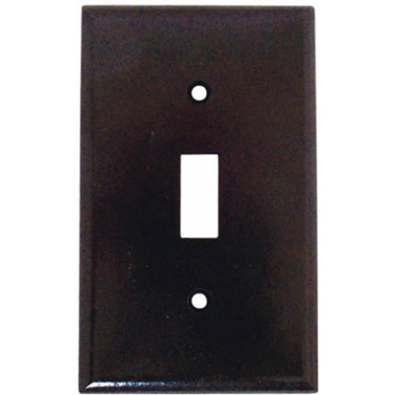 BRN 1G SWITCH PLATE