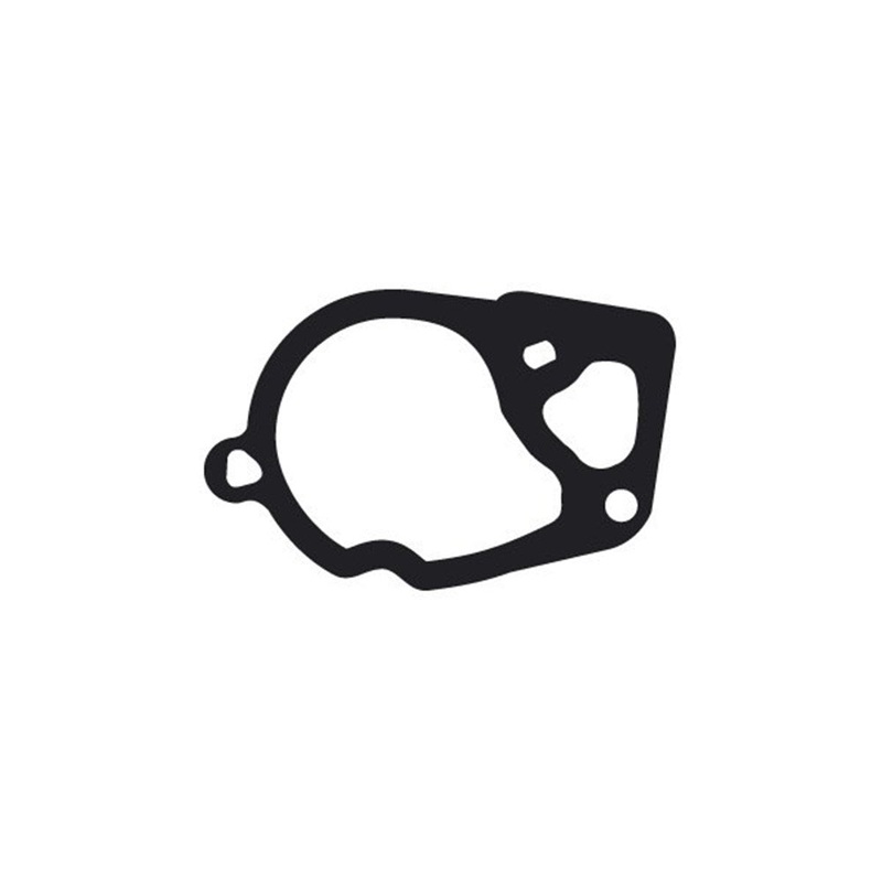 Tridon Thermostat Gasket – TTG77