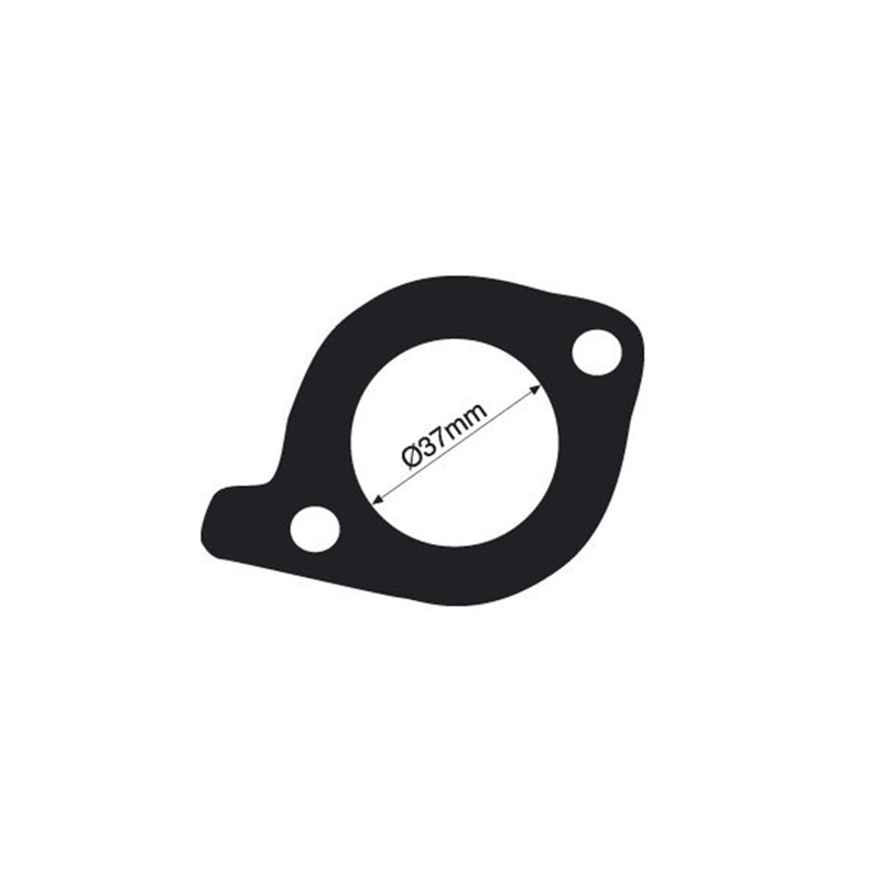 Tridon Thermostat Gasket – TTG56