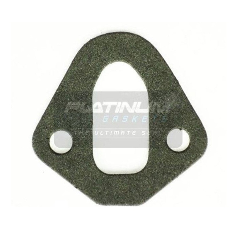 Platinum Fuel Pump Gasket – KV518