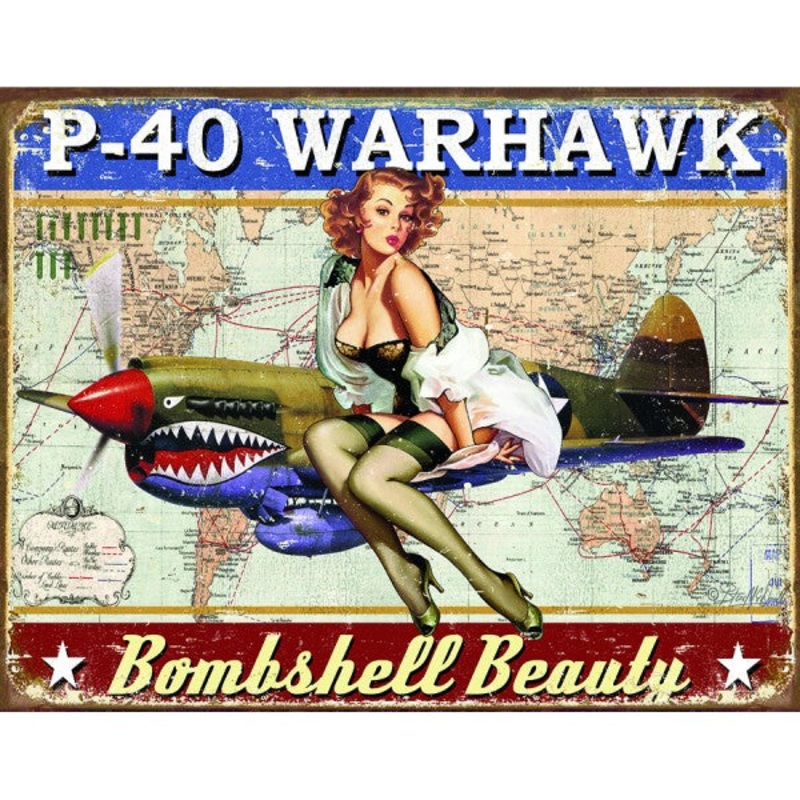 P-40 Warhawk Metal Sign Reproduction 41cm x 32cm – MSI2460